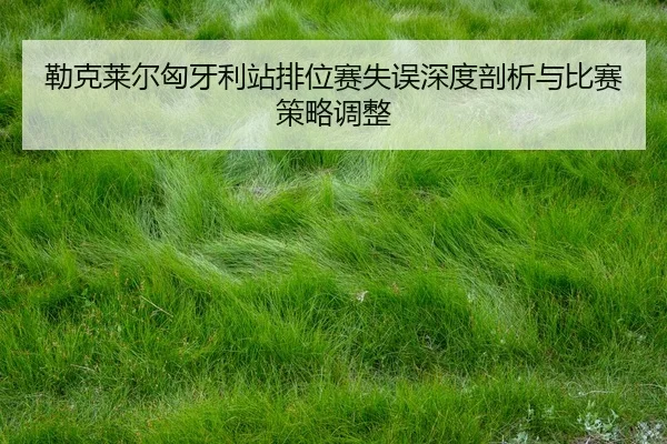 lei-ke-lai-er-xiong-ya-li-zhan-pai-wei-sai-shi-wu-shen-du-pou-xi-yu-bi-sai-ce-lve-tiao-zheng-2-483.jpg