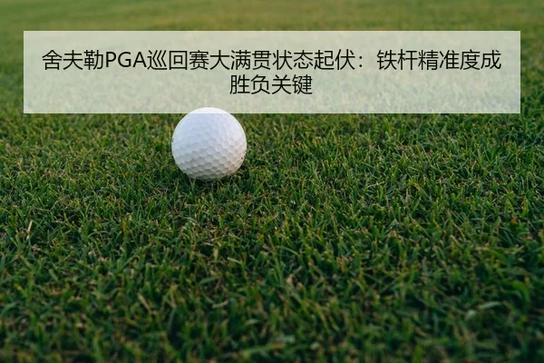 she-fu-lei-xun-hui-sai-da-man-guan-zhuang-tai-qi-fu-tie-gan-jing-zhun-du-cheng-sheng-fu-guan-jian-2-473.jpg