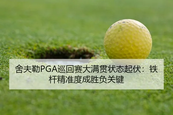 she-fu-lei-xun-hui-sai-da-man-guan-zhuang-tai-qi-fu-tie-gan-jing-zhun-du-cheng-sheng-fu-guan-jian-3-781.jpg